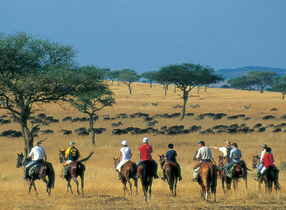 Riding in the Masai Mara