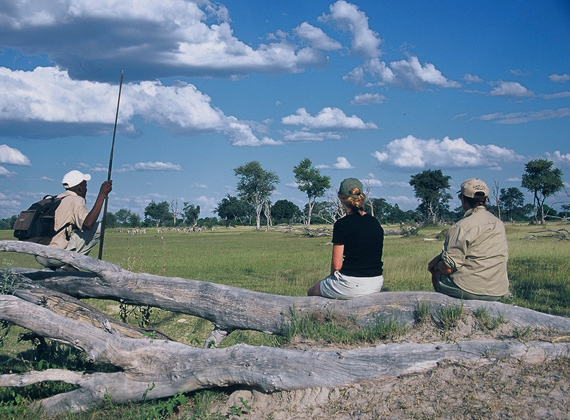 Walking from Footsteps Camp - Botswana