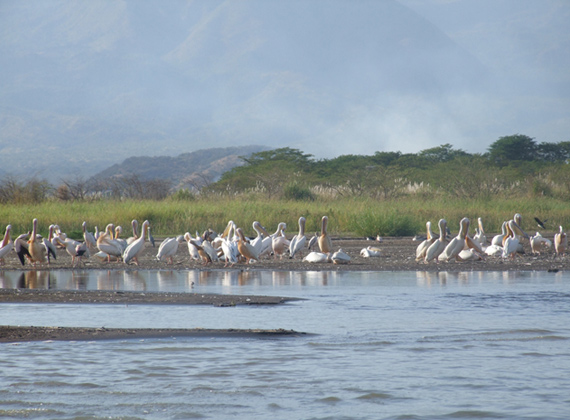 Lake Abaya