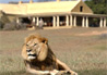 Gorah Elephant Camp