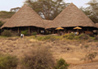 Tortilis Camp