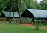 Little Governors' Camp