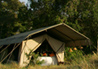 Offbeat Mara Camp