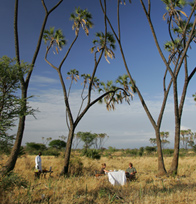 Meru National Park