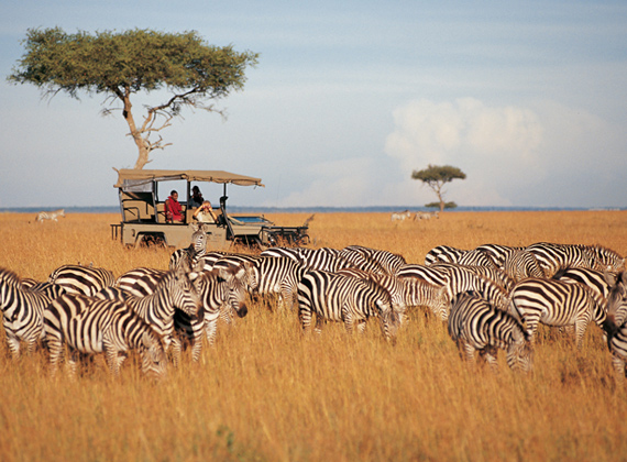 Saruni Camp - Kenya