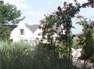 Kurland Hotel