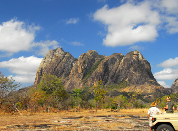 Niassa Reserve