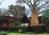 Impalila Island Lodge