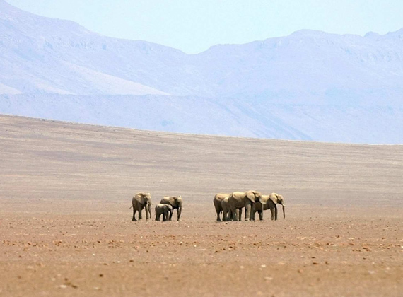 Damaraland