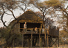 Onguma Tree Top Camp