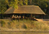 Nkwali Camp