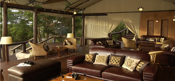 Migration Camp Lounge