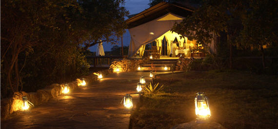 Migration Camp Restaurant
