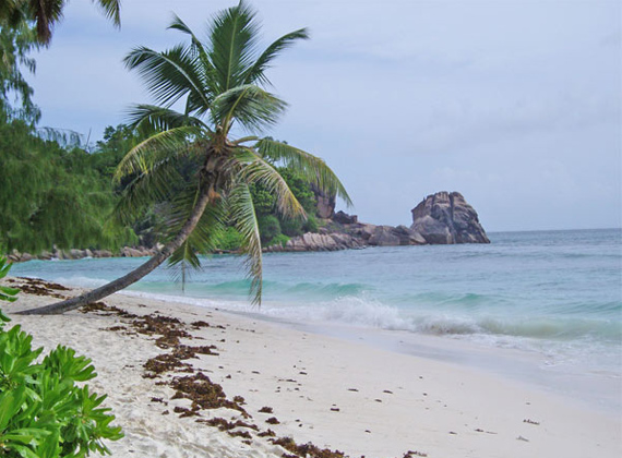 Mahe Island - Seychelles