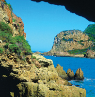 southafrica_gardenroute_fat