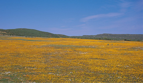 southafrica_northerncape_mainimage1
