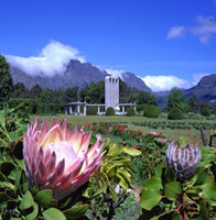 southafrica_winelands_fat