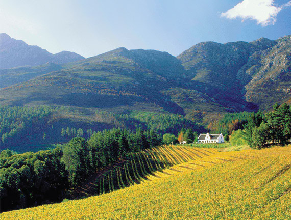 southafrica_winelands_mainimage1