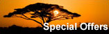 Special Offers