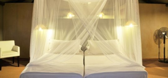 Eagle Tented Lodge Etosha