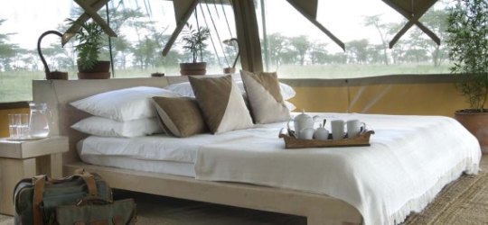 Kicheche Bush Camp