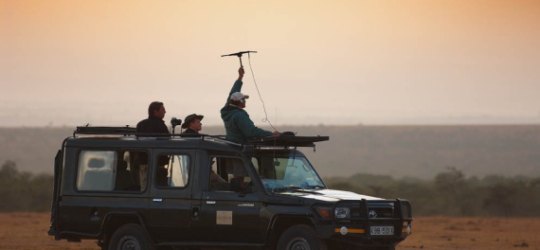 Kicheche Laikipia