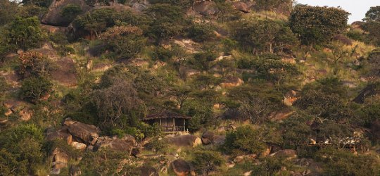 Nomad Lamai Serengeti
