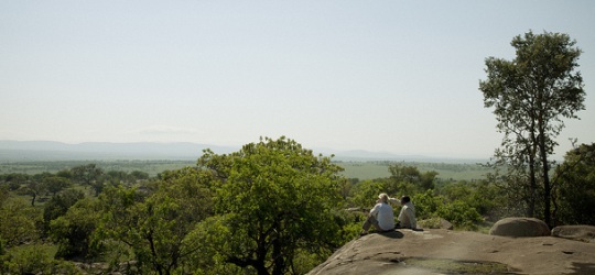 Nomad Lamai Serengeti