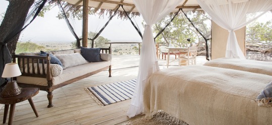 Nomad Lamai Serengeti