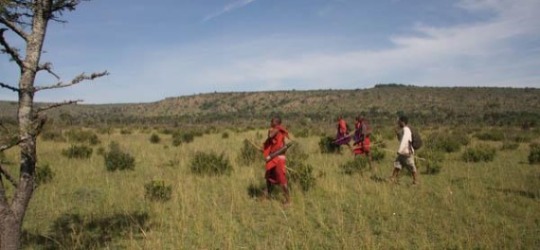 Ngare Serian Maasai Mara
