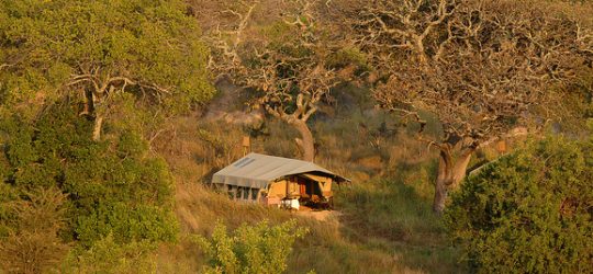 Nomad Serengeti Camp
