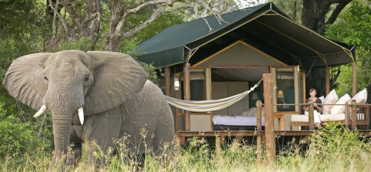 Sanctuary Camp Botswana