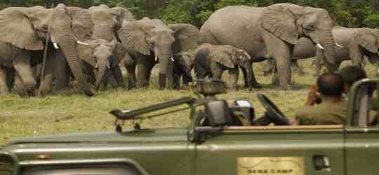 Seba Camp Okavango Delta
