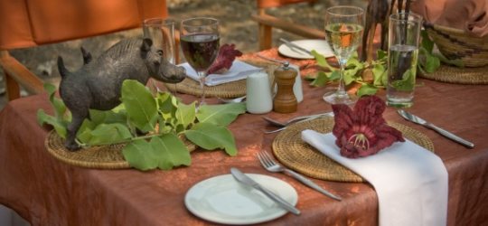 Susuwe Island Lodge Caprivi