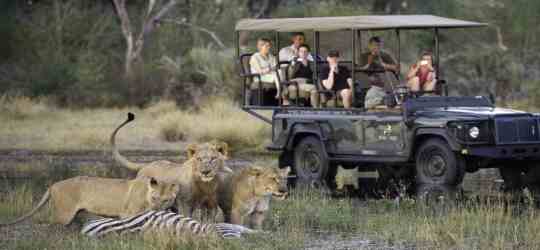 Tubu Tree Camp Okavango Delta