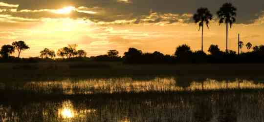 Tubu Tree Camp Okavango Delta