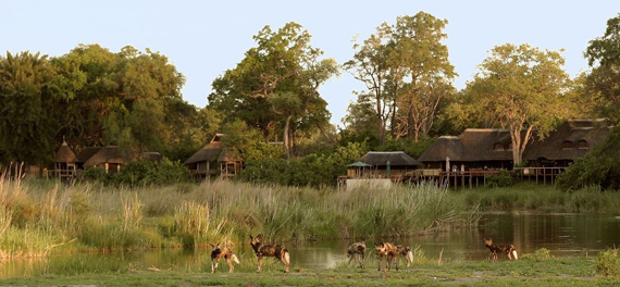 Kings Pool Camp 