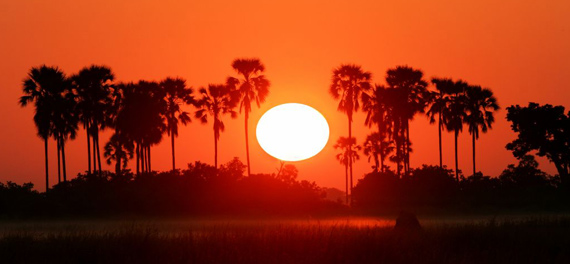 Selinda Camp - Sunset