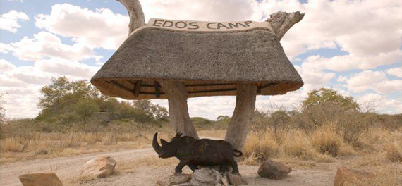 Edo's Camp
