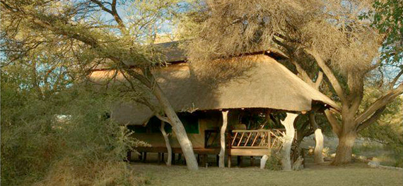 Edo's Camp - Tent