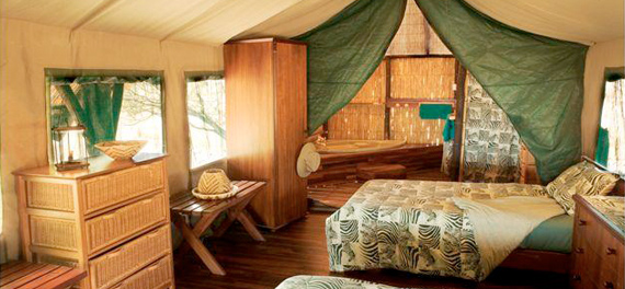 Edo's Camp - Tent Interior