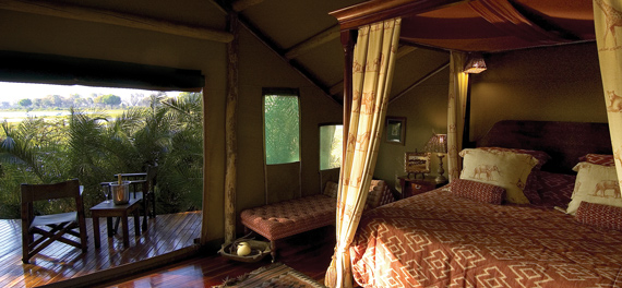 Abu Camp - Suite