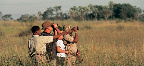 Chitabe Camp - Walking Safari