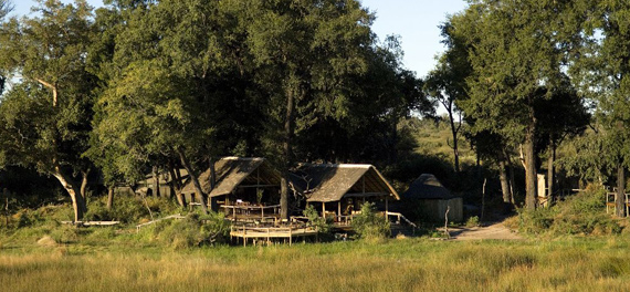 Duba Plains Camp 