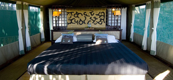 Duba Plains Camp - Tent