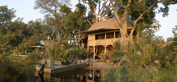 Jacana Camp