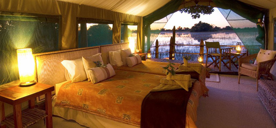 Jacana Camp - Tent