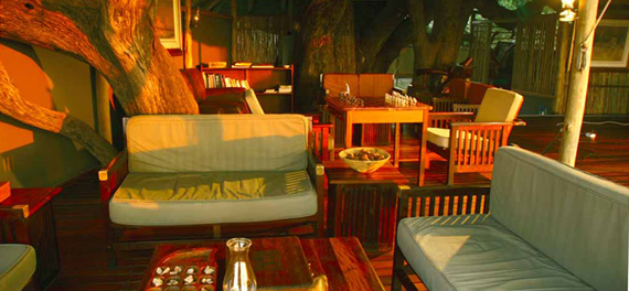 Kwara Camp - Lounge