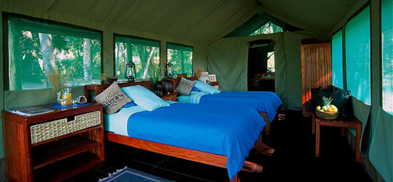 Kwara Camp - Guest Tent