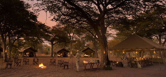 Chobe Under Canvas